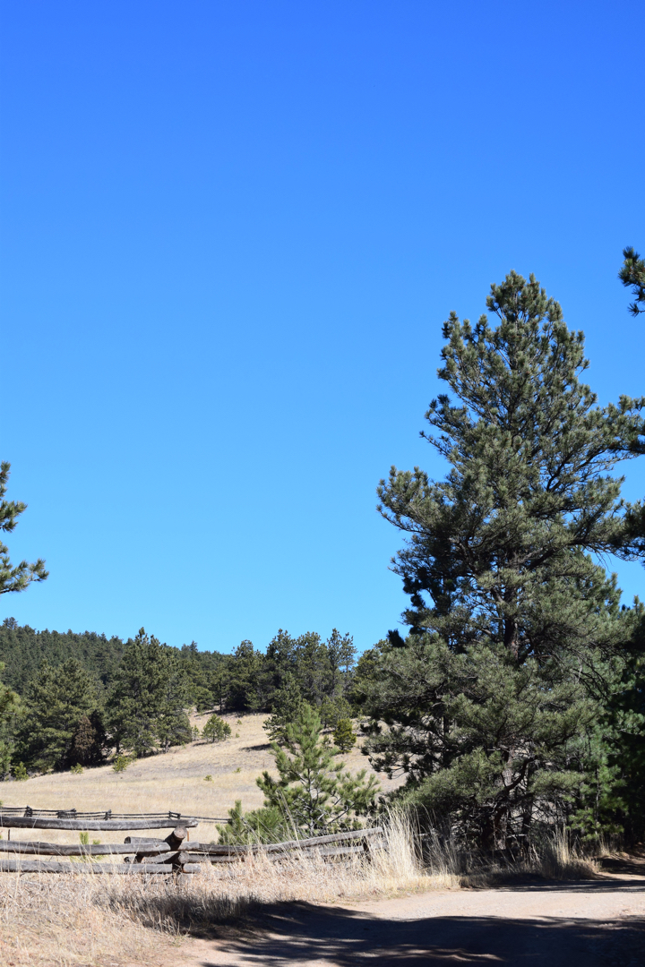 Bluebird skies at Heil Valley Ranch