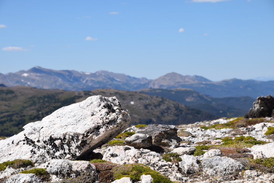 Alpine tundra and Rocky Mountians