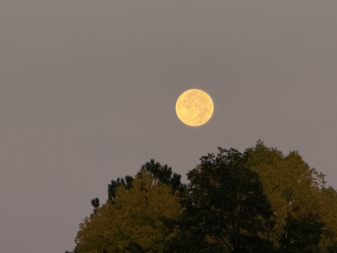 Full moon