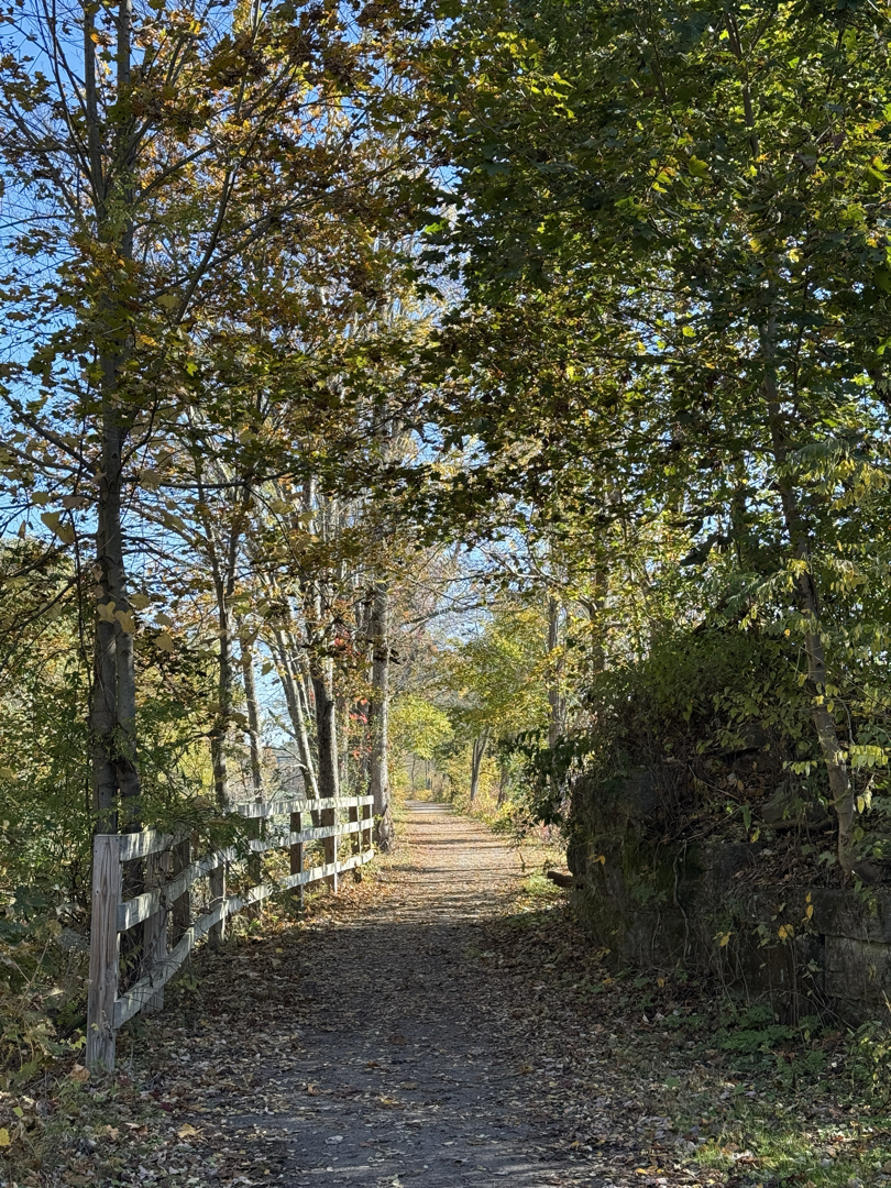 Serene path