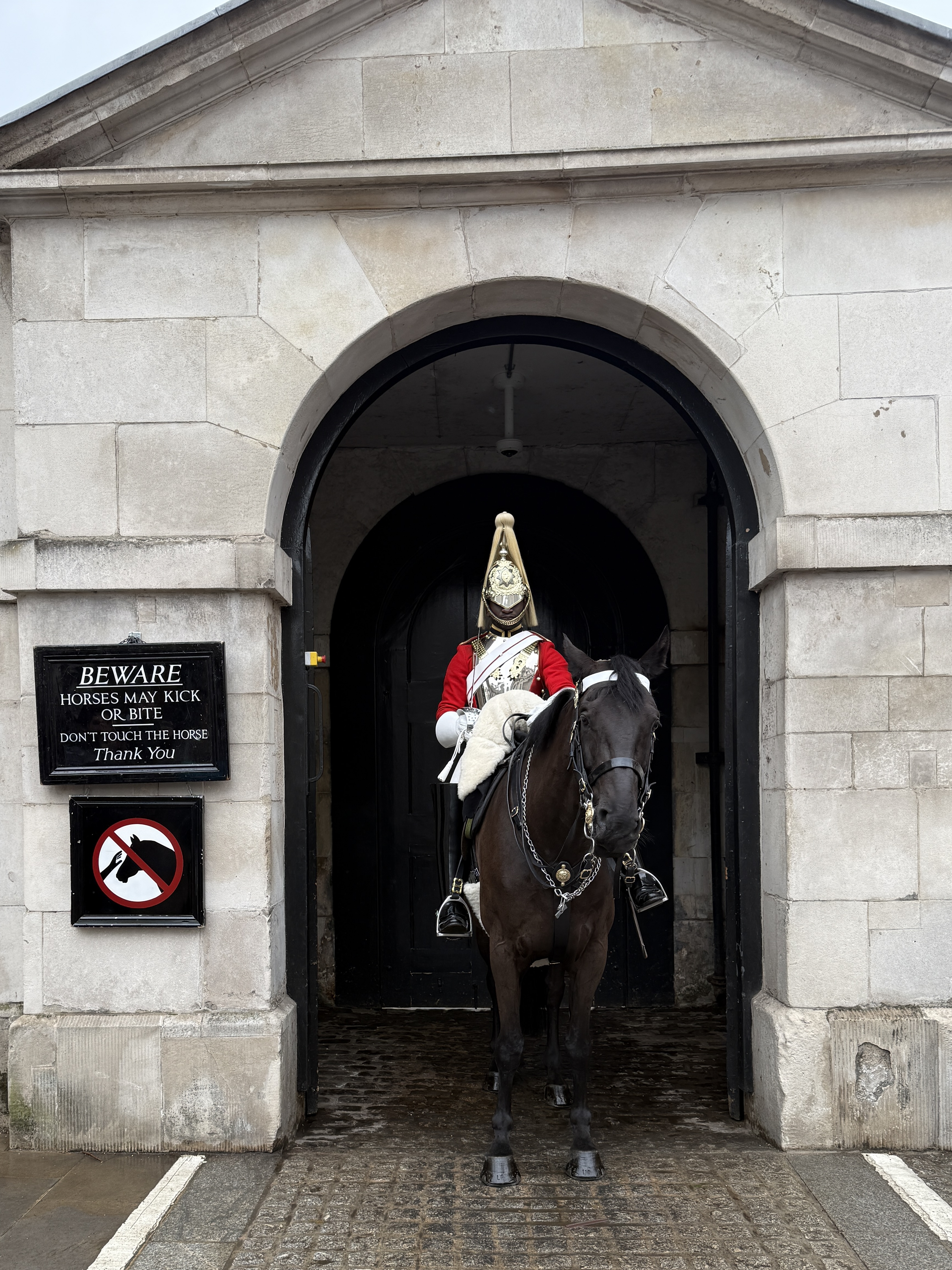 Mounted Horse Guard