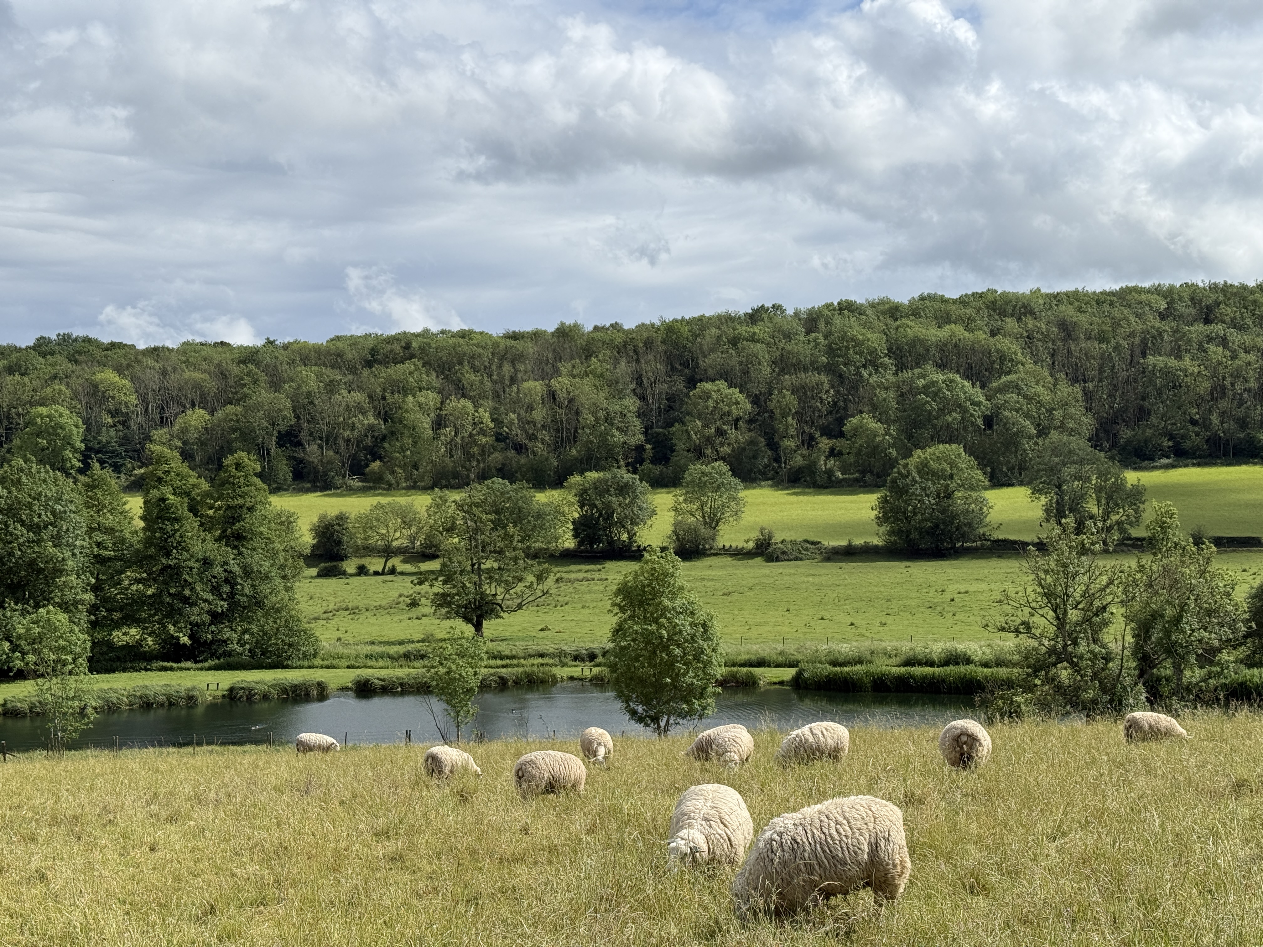 Green countryside