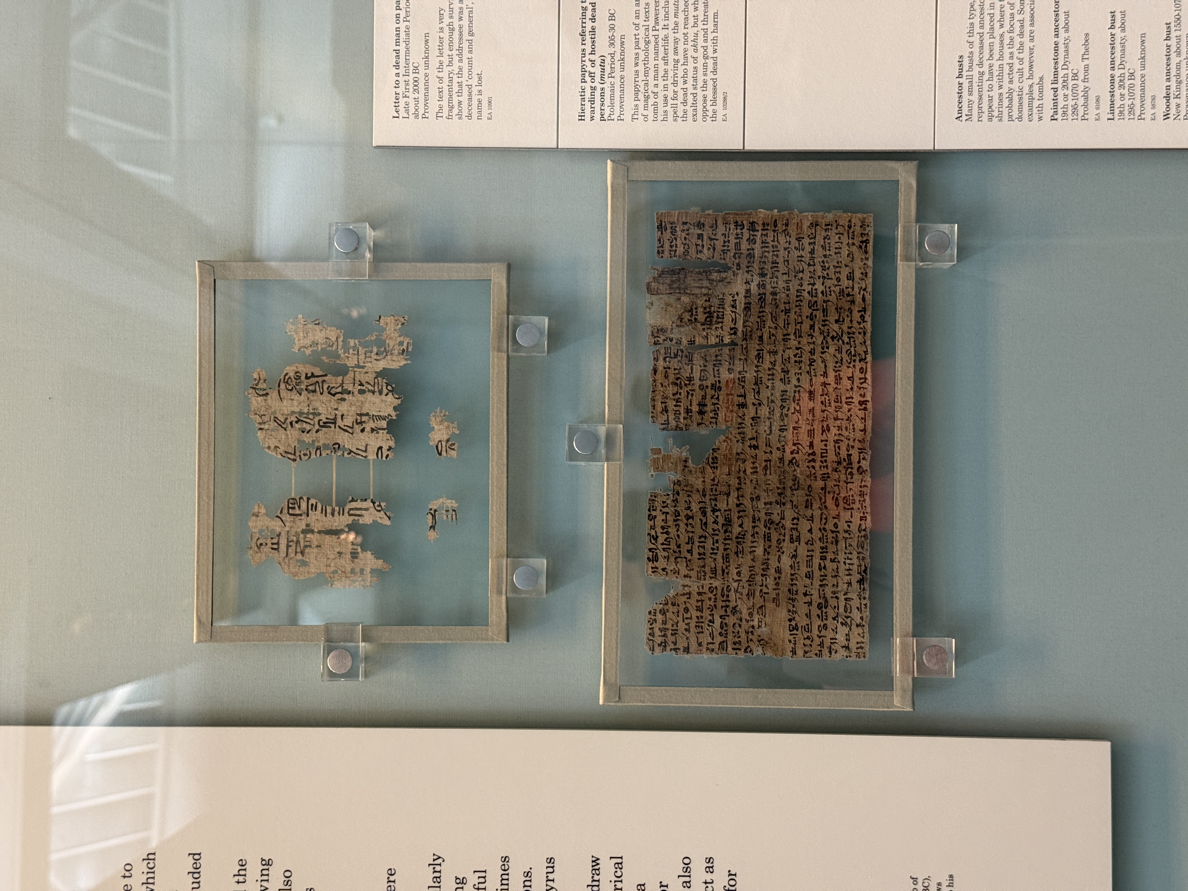 Papyrus