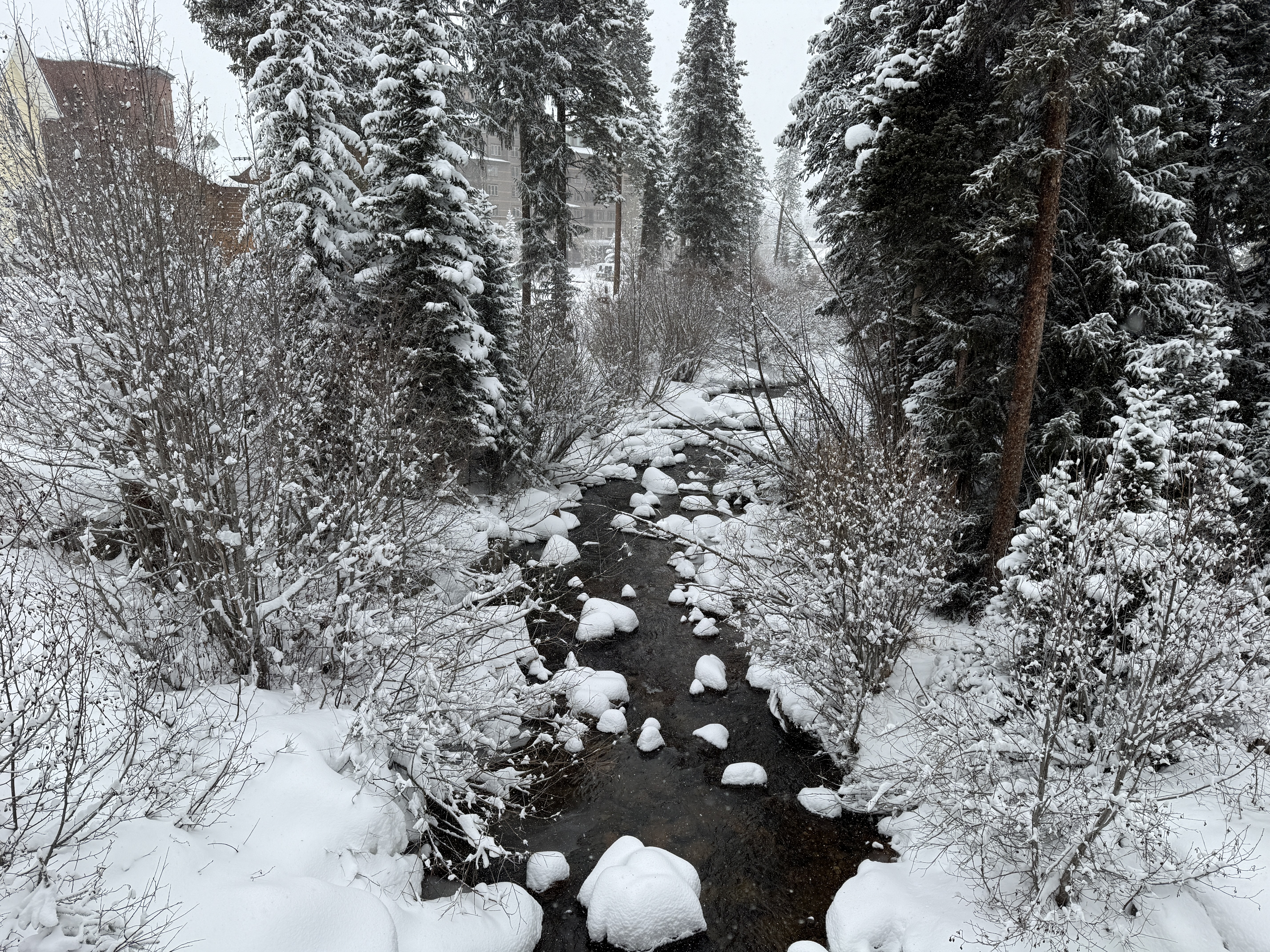 Snowy creek at Winter Park