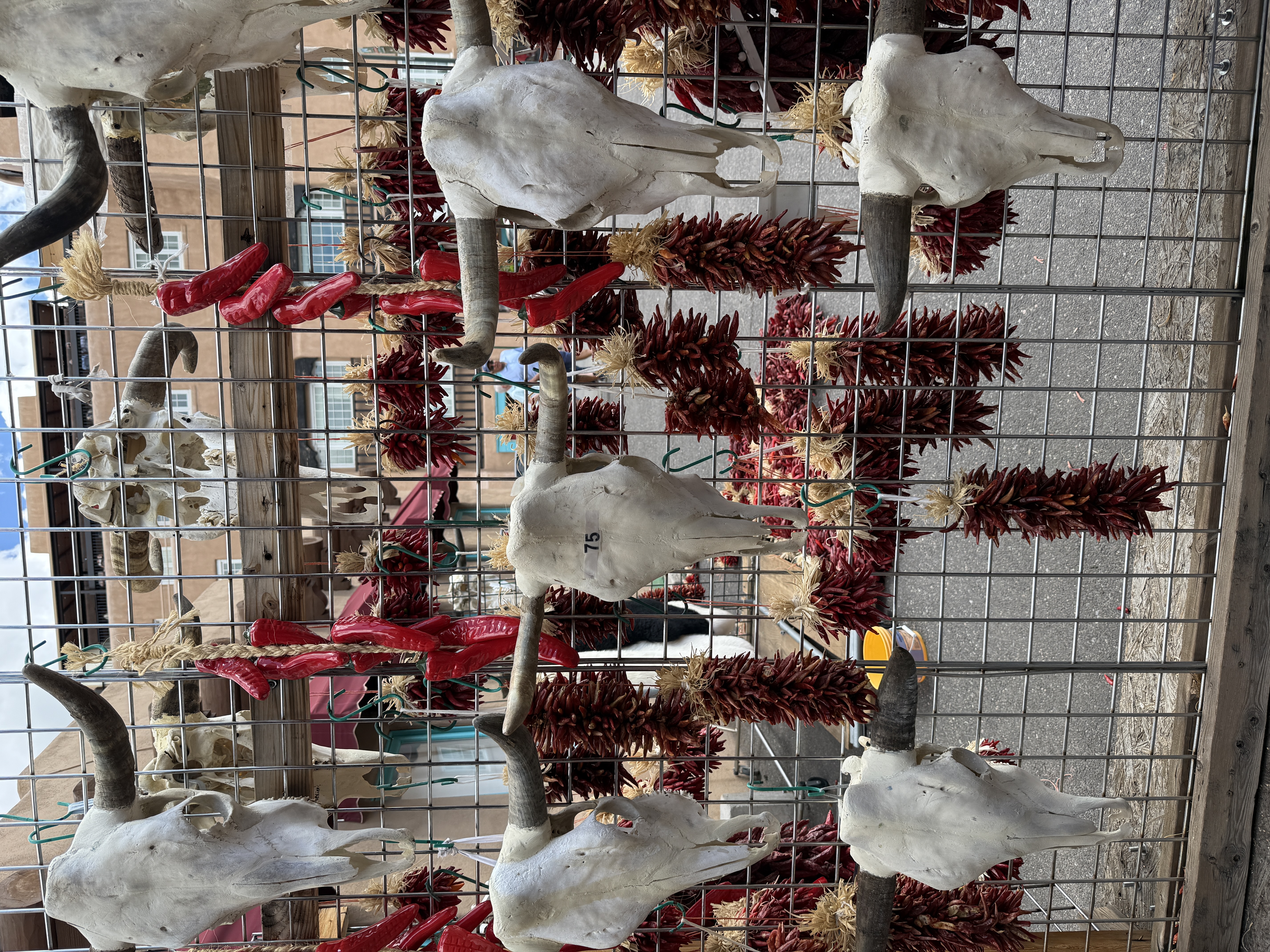 Ristras and cow skulls in Santa Fe