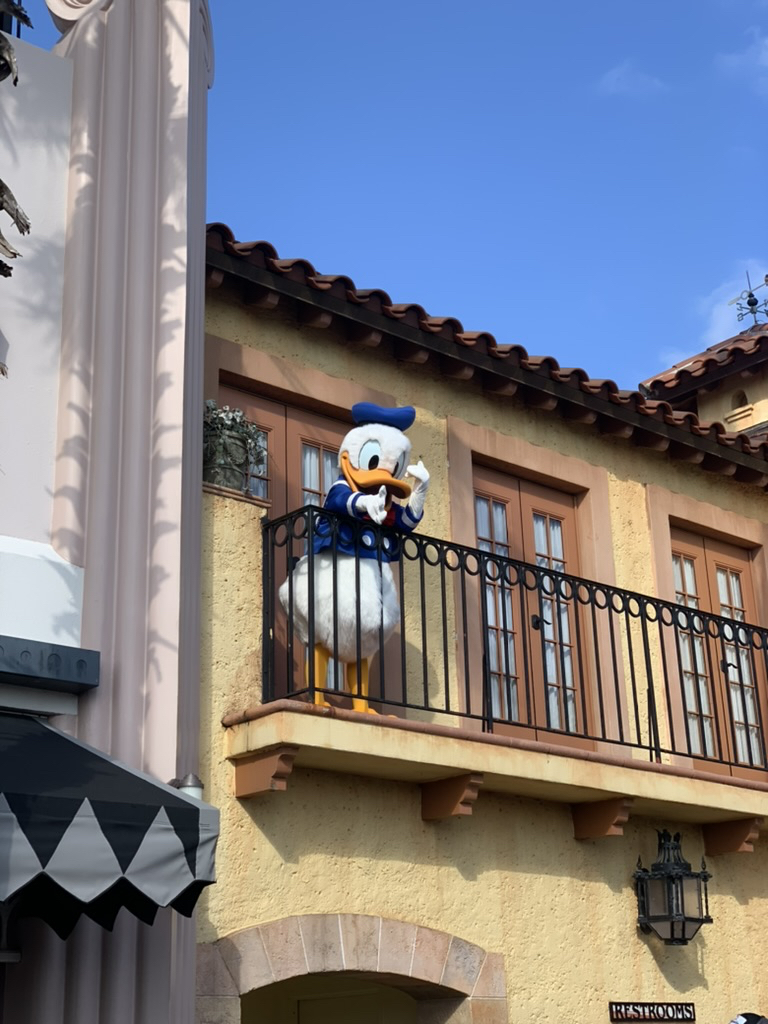Donald Duck at Hollywood Studios