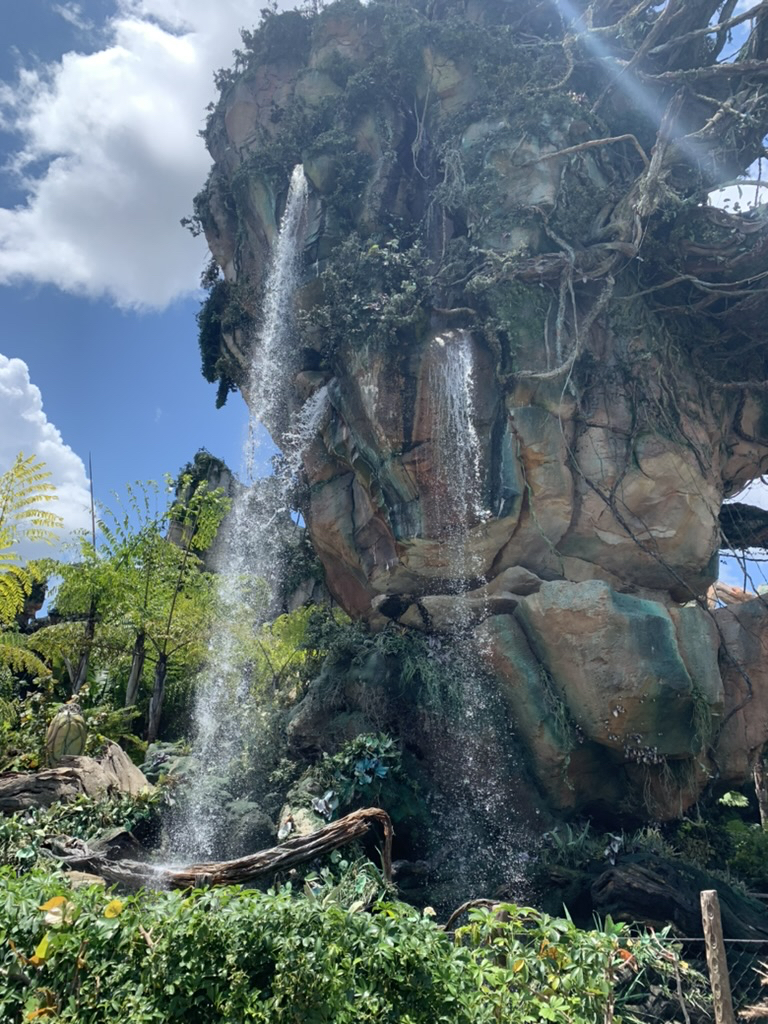 Pandora waterfall, Animal Kingdom