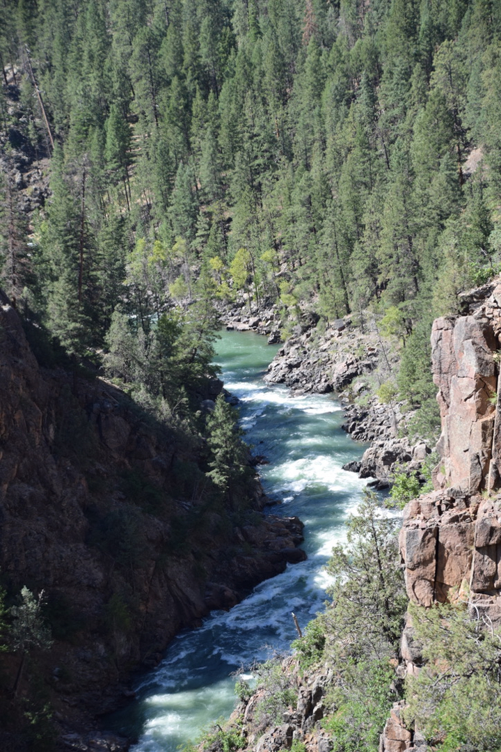 The Animas River