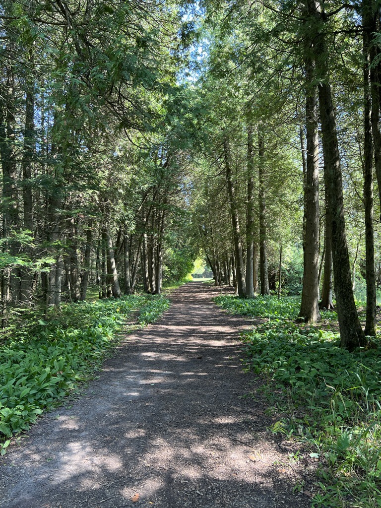 Bjorklunden path