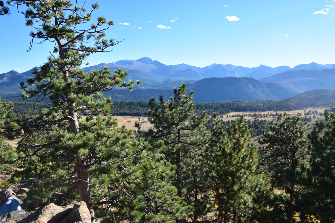 Longs Peak from RMNP