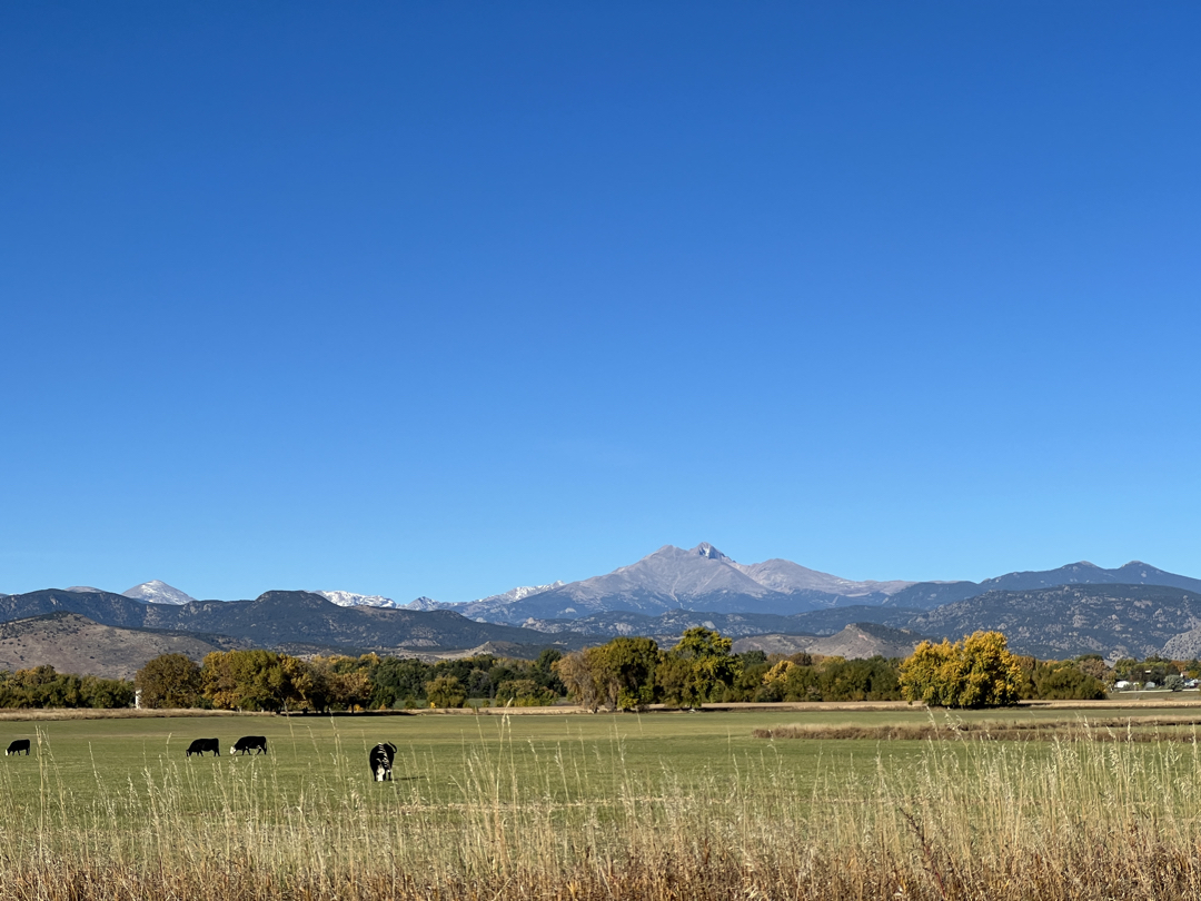 Pasture in the Front Range