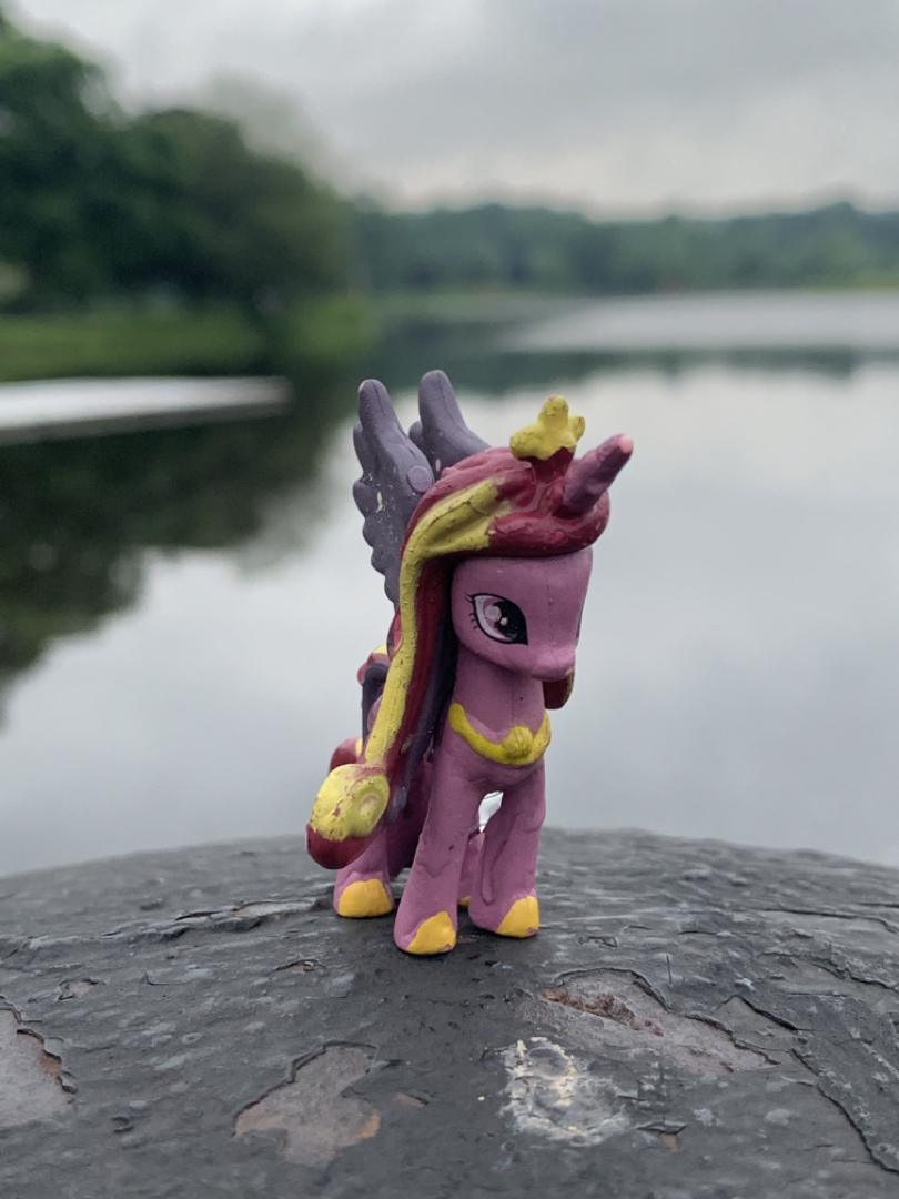 Unipony on the Exeter River