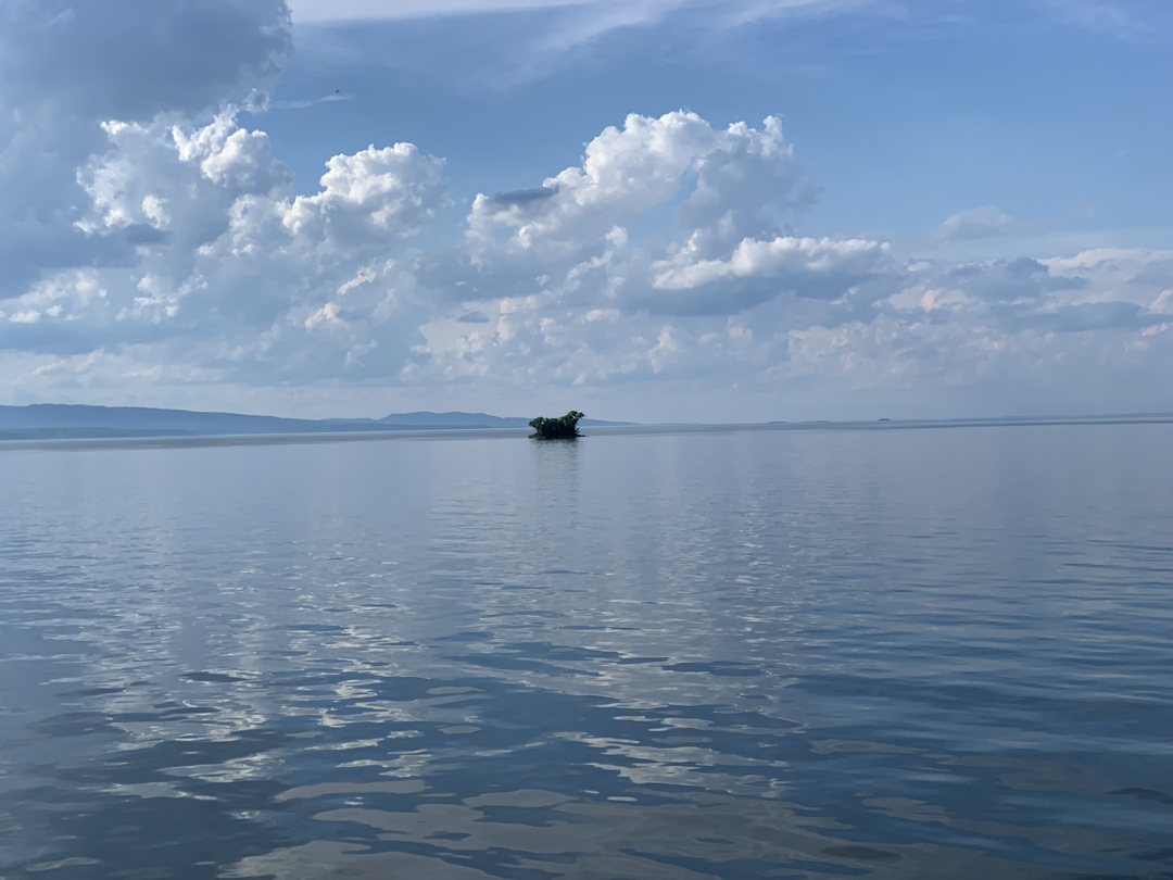 Lonely island on Lake Champlain