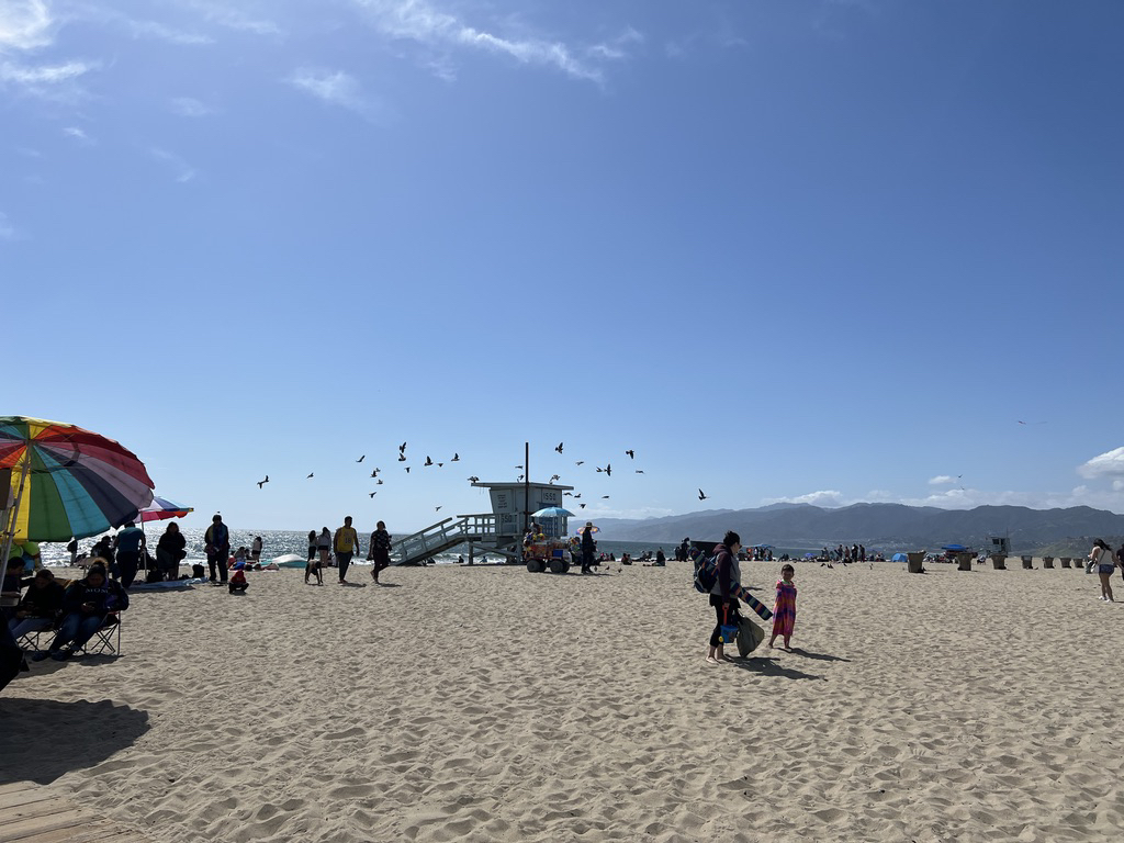 The beach at Santa Monica