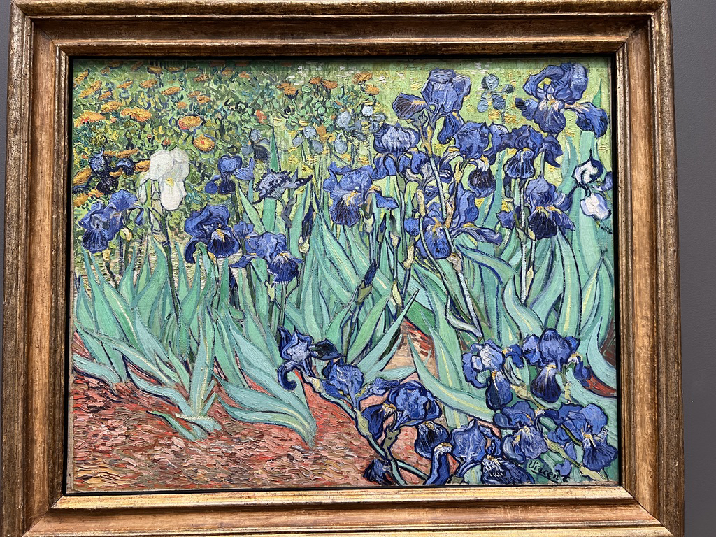 Irises by Vincent Van Gough