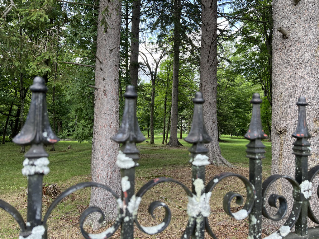 Through the fence at Forest Park