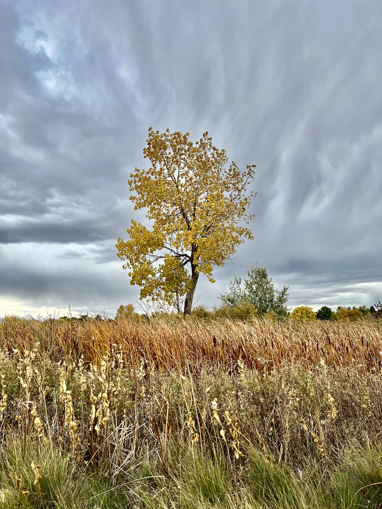 Stormy Fall afternoon