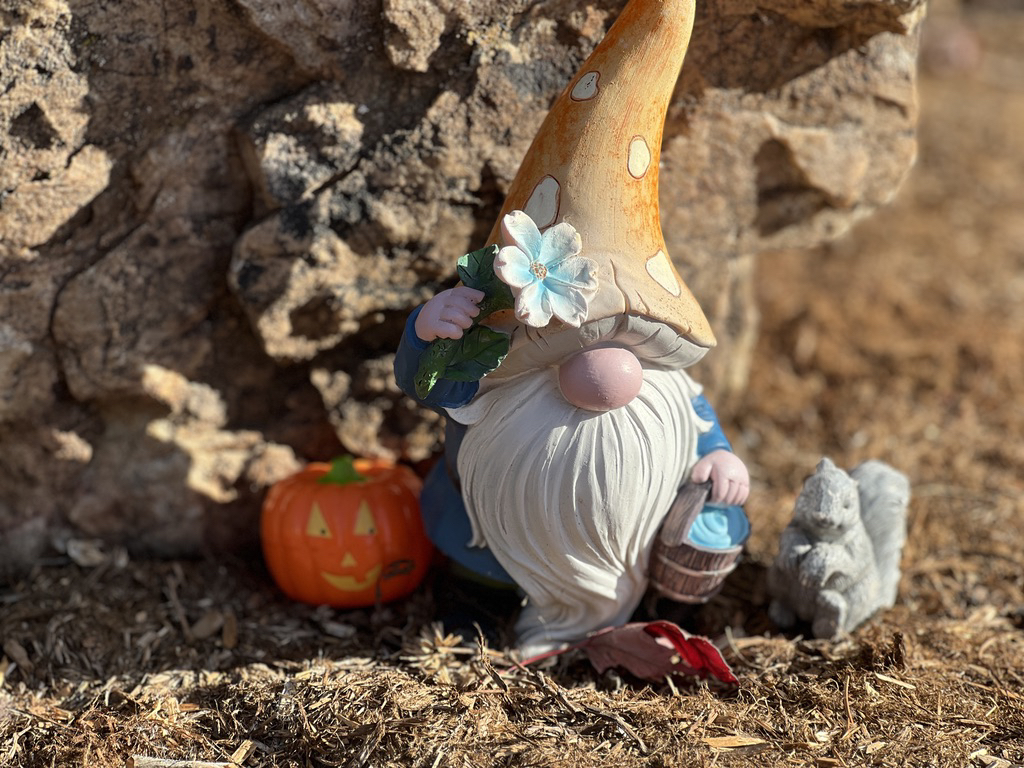 Halloween gnome