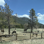 E539C056-4EE5-486B-9F3F-0C5BD9512125_1_105_c.jpeg