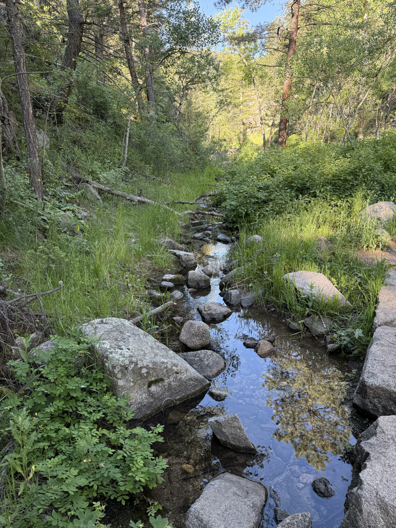 Creek crossing