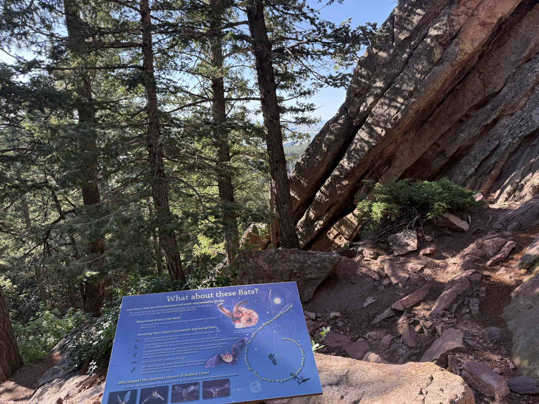 Informational bat sign at the cave