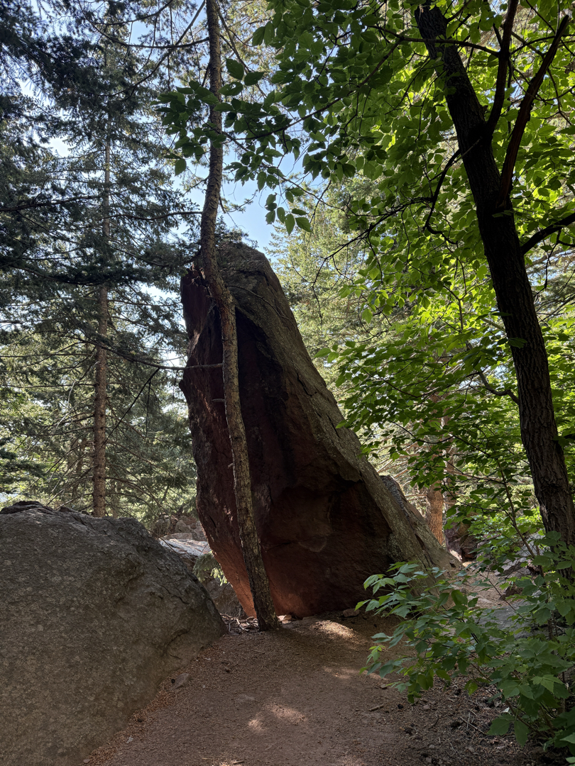 Resting rock