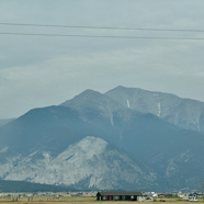 E4403271-A753-46CE-AD1C-BBDCE80501D0_1_105_c.jpeg