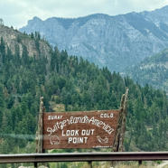 2904BB15-3C55-47F6-9C65-F8F508518453_1_105_c.jpeg