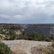 B51A2585-357E-4F49-9151-F1AF3FE6DD16_1_105_c.jpeg