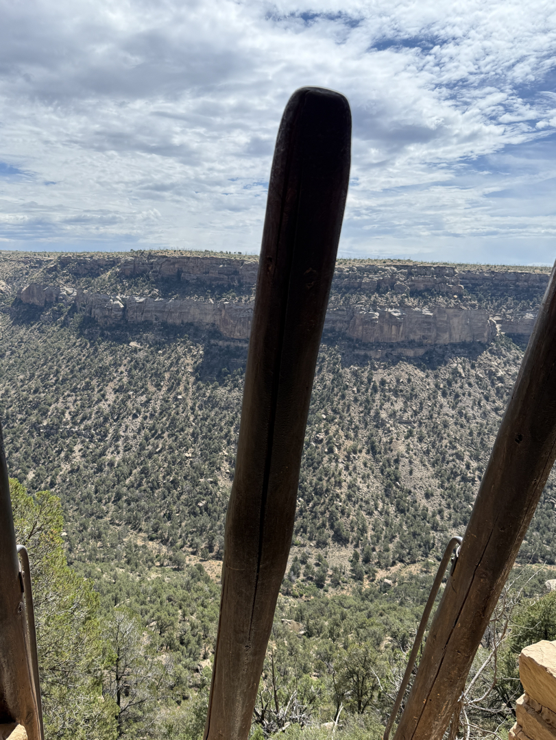 The top of the ladder and the canyon below