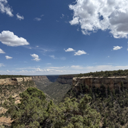 C3585263-A297-4902-880F-50F3DD323959_1_105_c.jpeg