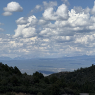 BC822801-D79A-4787-821B-9355B5ED3ED2_1_105_c.jpeg