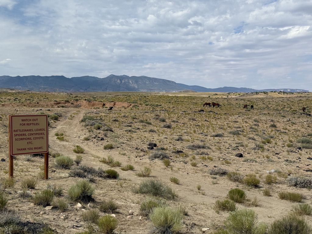 Dangerous desert