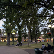 C979216A-58A4-48EA-B157-8BF7798B040E_1_105_c.jpeg