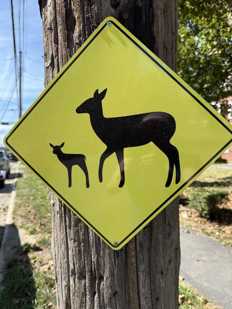 Deer sign in Troy, NY