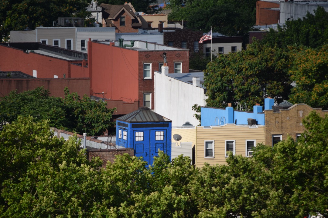 A TARDIS in the wilds of Brooklyn